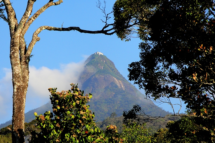 Peak Wilderness Sanctuary Sri Lanka